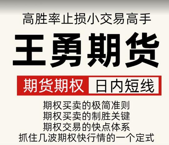 王勇期货期权日内短线培训课程 高胜率 止损小 交易高手