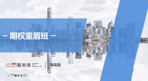 陈竑廷 交易艺术汇 期权重盾班 2025视频课程