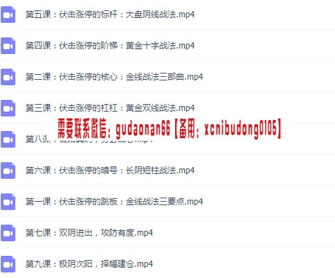 量学云讲堂仲展 龙头密探 量学 白马密探 第28期视频课程