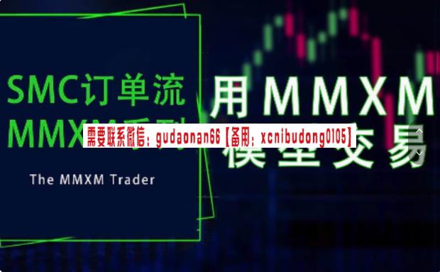 The MMXM Treader's Course ICT MMSM／MMBM模型 中英双语字幕